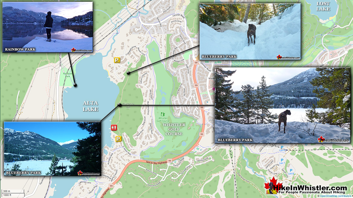 Blueberry Park Snowshoeing Map Blueberry Park Snowshoeing Map