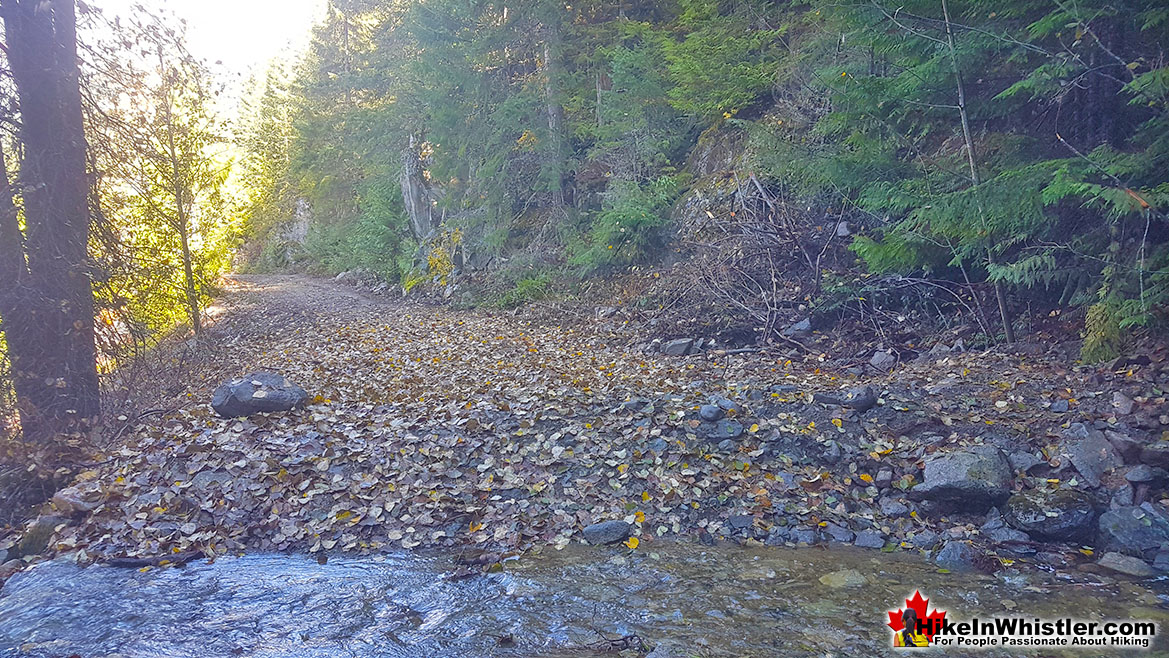 Cross Ditch Jane Lakes Trail