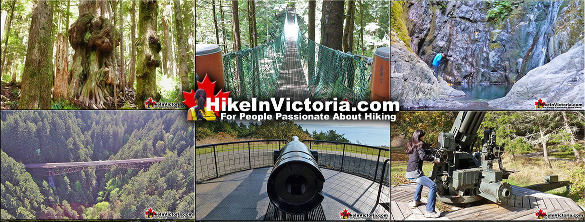 Best Victoria Hiking Trails