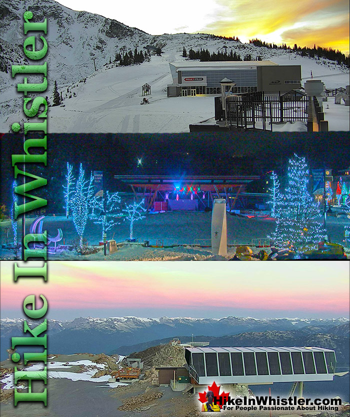 whistler snow cam