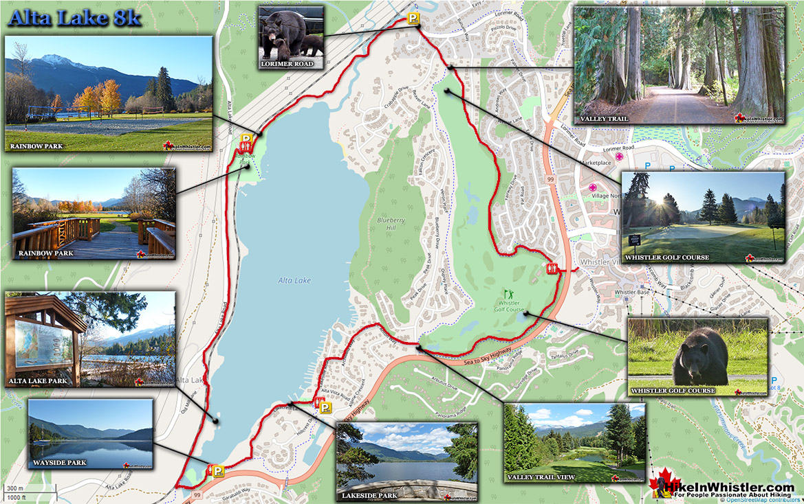 Alta Lake 8k Run in Whistler Map