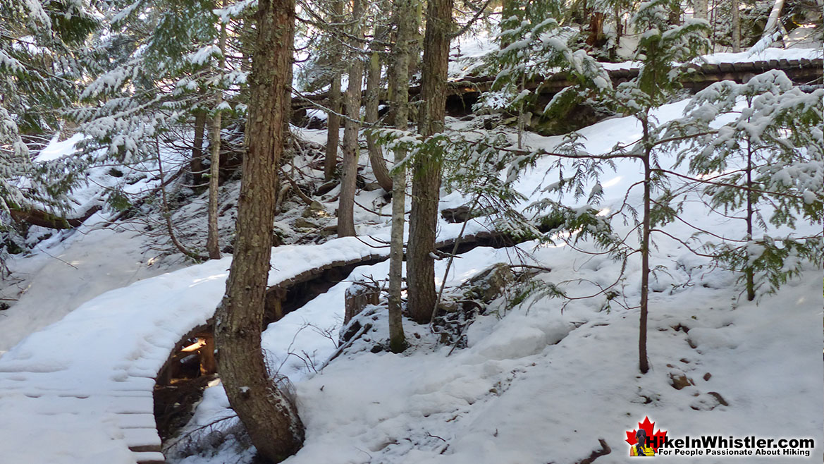 Darwin's Trail Snowshoeing