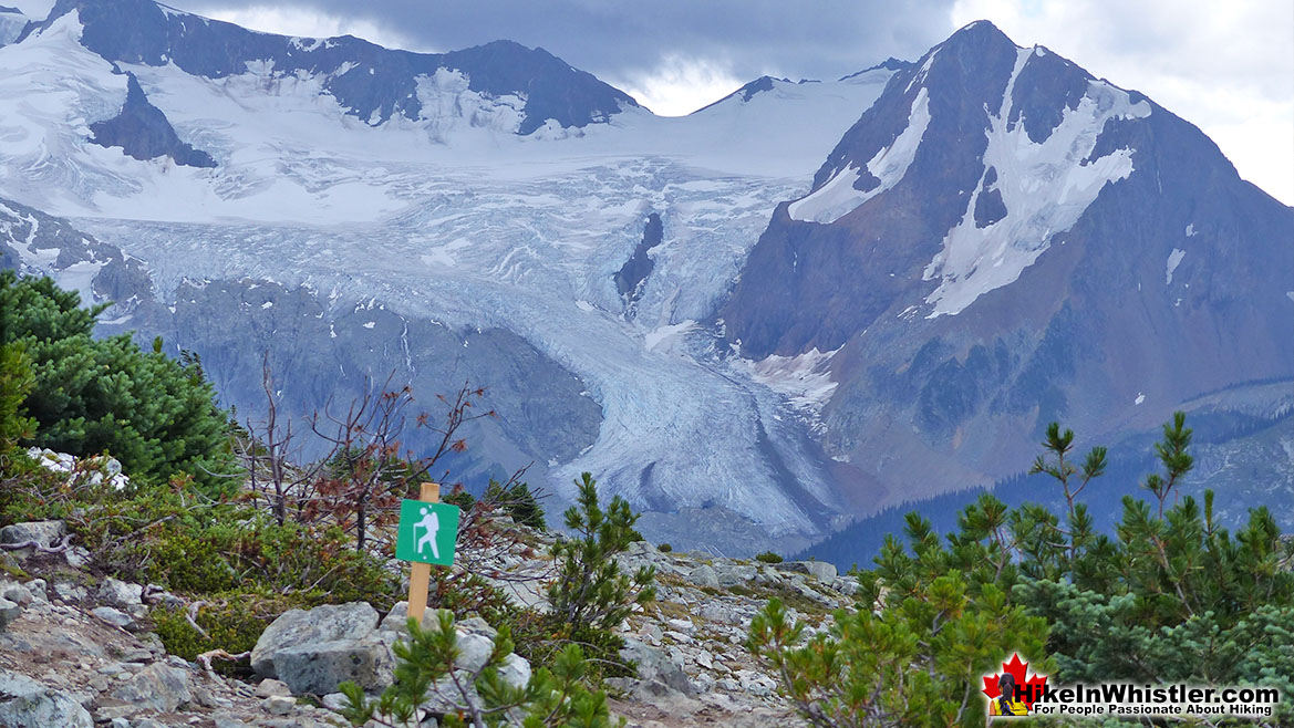 Overlord Glacier and The Fissile from Blackcomb Mountain