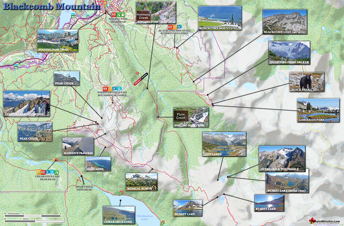 Whistler Mountain Trail Map Blackcomb Mountain Hiking Maps