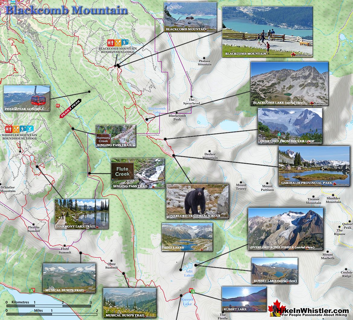 Blackcomb Mountain Hiking Map v4a