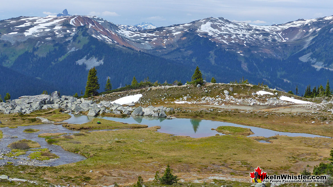 Alpine Hiking Trails on Whistler and Blackcomb Mountains