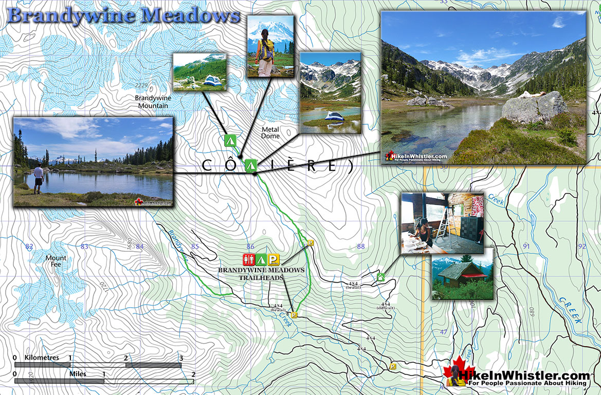 Sunny meadows карта