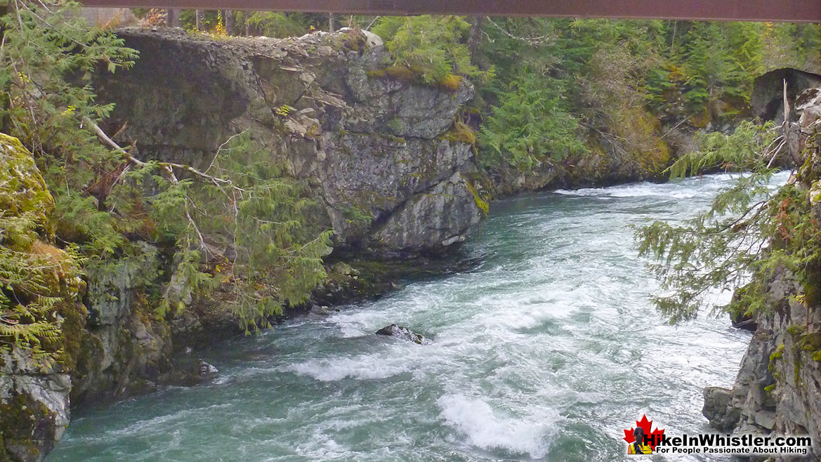 Cheakamus River Hike in Whistler in November