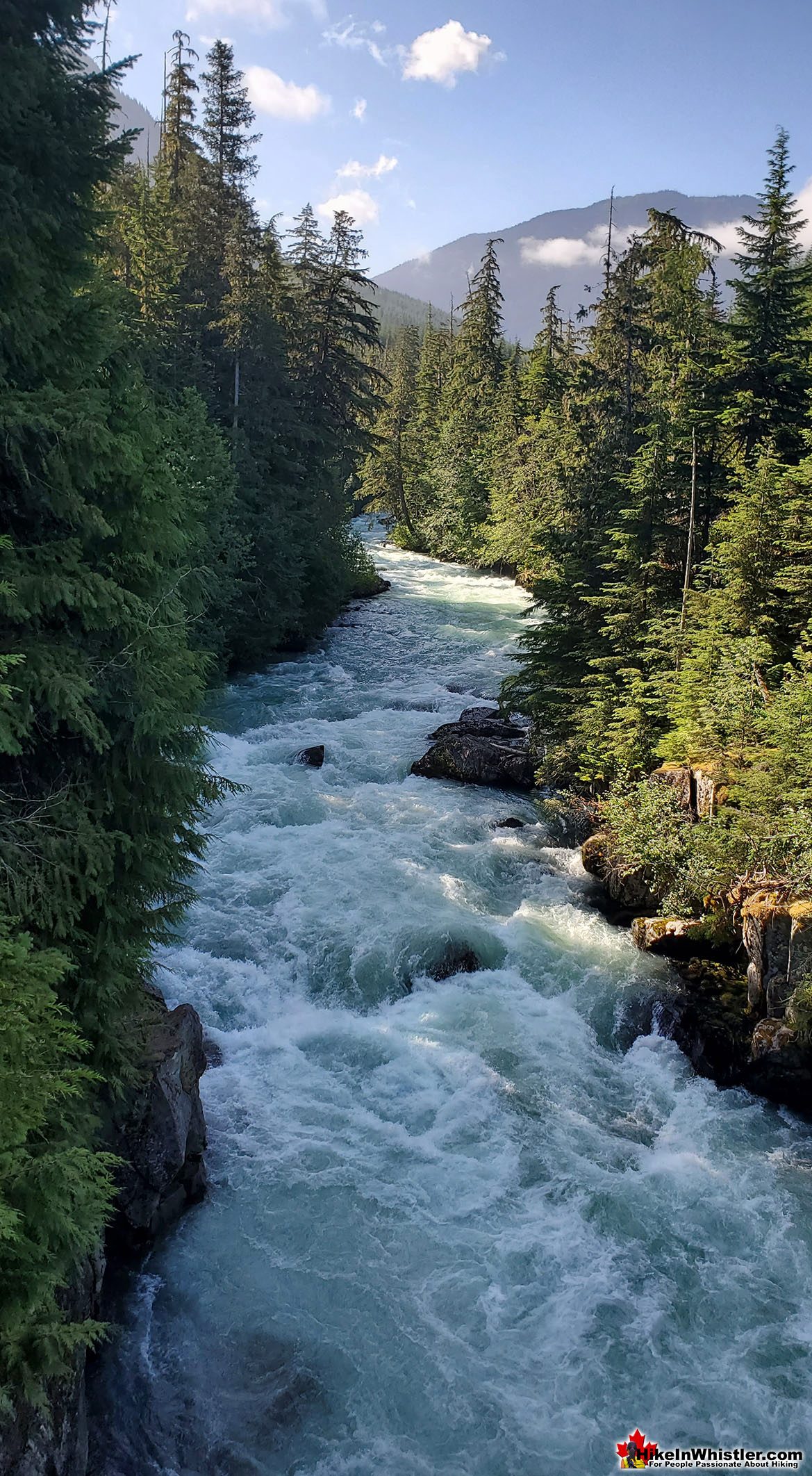 MacLaurin's Crossing View of Cheakamus River