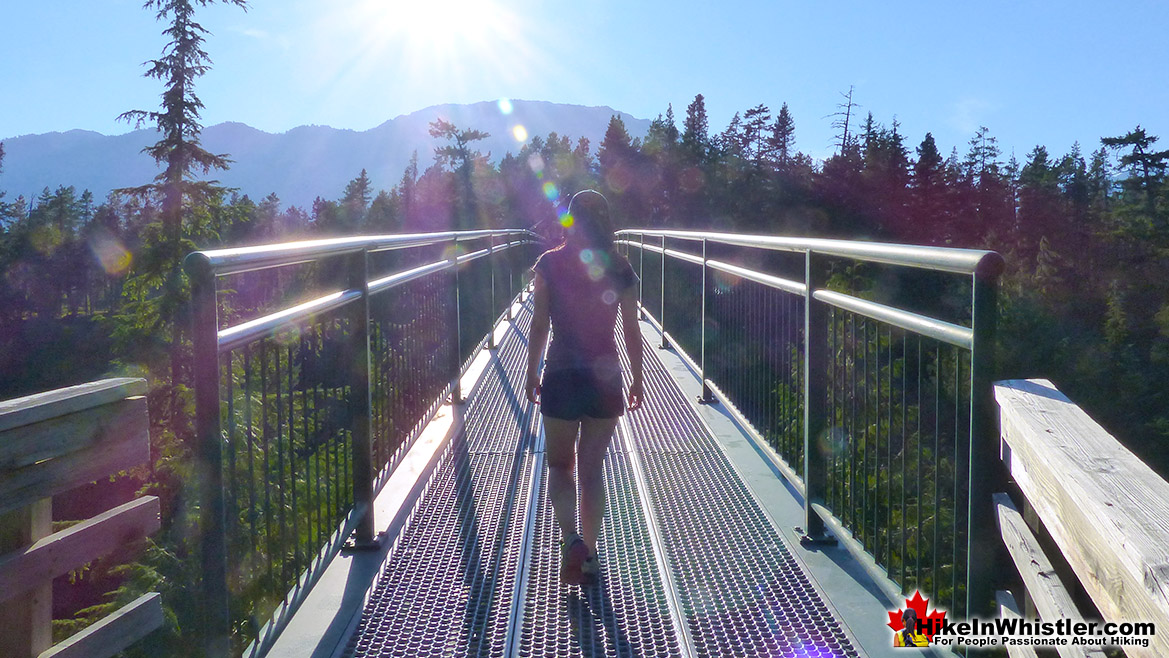 Sea to Sky Trail Bungee Bridge in November